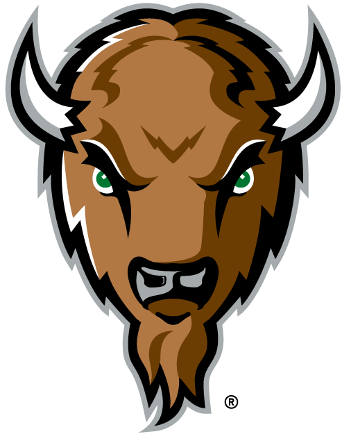 Marshall Thundering Herd 2001-Pres Alternate Logo v2 diy iron on heat transfer